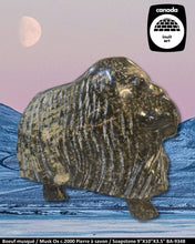 Charger l&#39;image dans la galerie, BA9348 - BOEUF MUSQUÉ / MUSK OX - SCULPTURE PIERRE À SAVON /SOAPSTONE - 9&quot;x10&quot;X3.5&quot;
