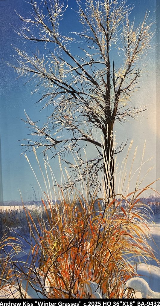 BA9432 - Winter Grasses - ANDREW KISS - 36