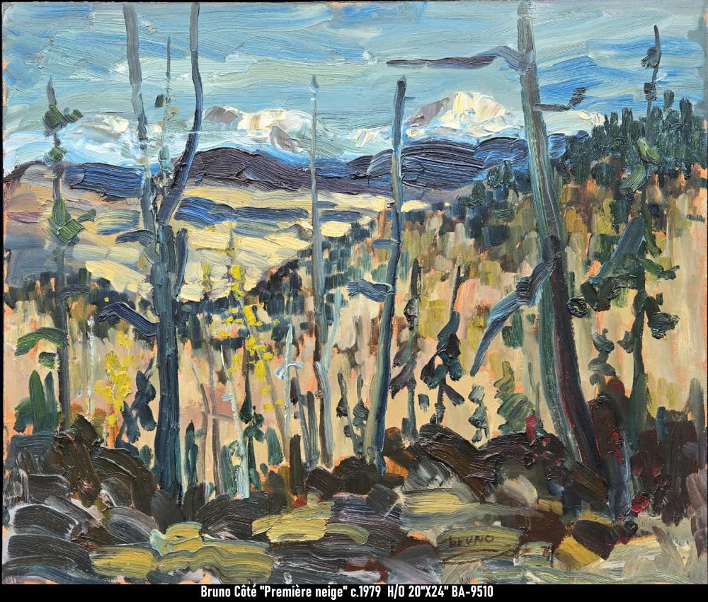 BA9510 - Première neige - BRUNO CÔTÉ - 20