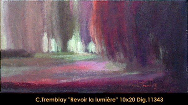 11343 - Claude Tremblay - Revoir la lumière - 10x20