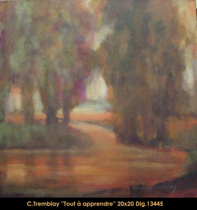 13445 - Claude Tremblay - Tout à apprendre - 20x20