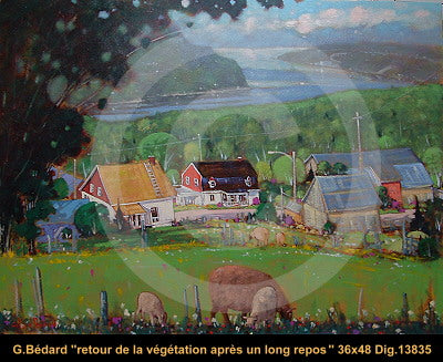 13835 - Gilles Bedard - Retour de la végétation après un long repos - 36x48