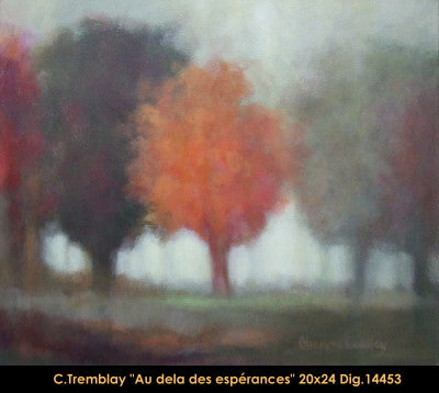 14453 - Claude Tremblay - Au-delà des apparences - 20x24