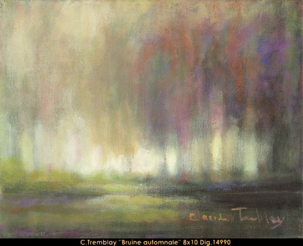 14990 - Claude Tremblay - Bruine automnale - 8x10