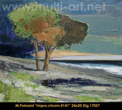 17057 - Marc Poissant - Improvisation chromatique #141 - 20x24