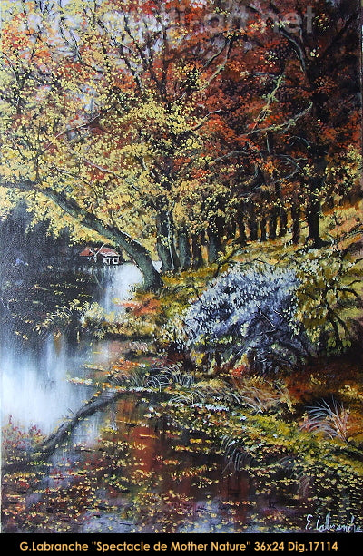 17114 - Gilles Labranche - Spectacle de mother nature - 36x24