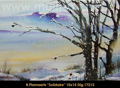 17213 - Roland Palmaerts - Solidaire - 10x15