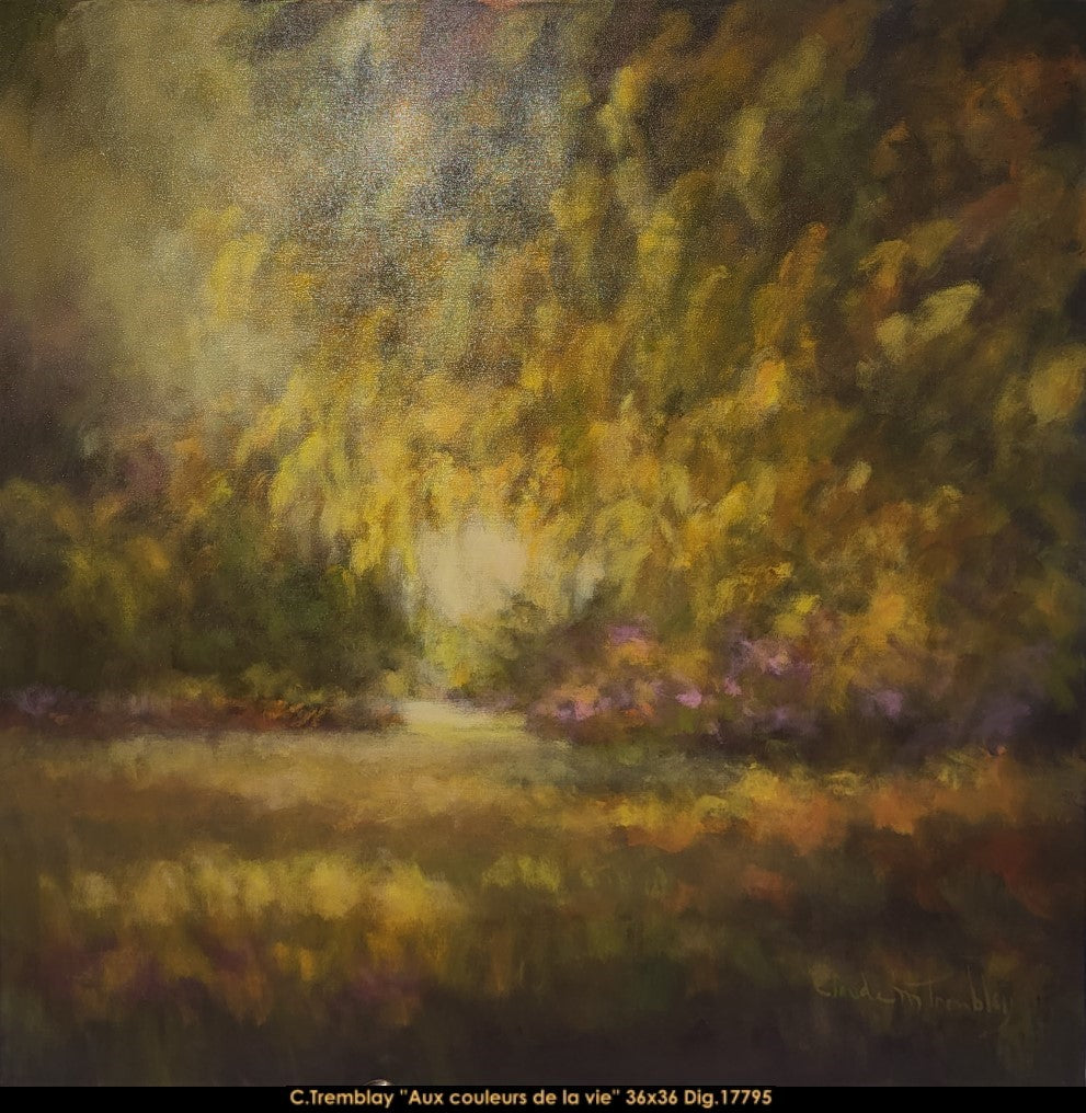 17795 - TREMBLAY Claude - Aux couleurs de la vie - 36 x 36
