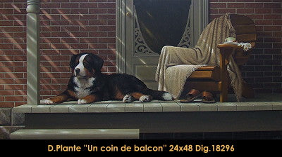 18296 - Daniel Plante - Un coin de balcon -24X48