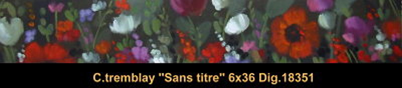 18351 - Claude Tremblay - Sans titre - 6x36