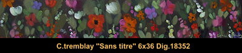 18352 - Claude Tremblay - Sans titre - 6x36