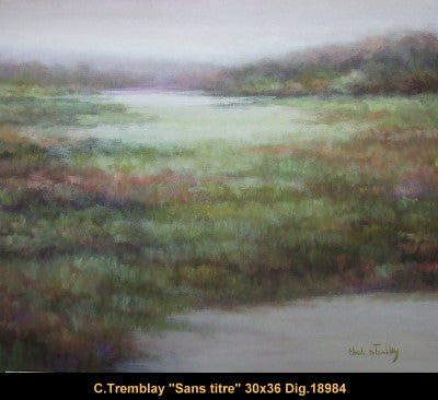 18984 - Claude Tremblay - Sans titre - 30x36