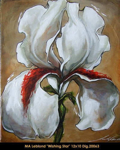 20063 - Marie-Andree Leblond - Wishing Star - 12x10