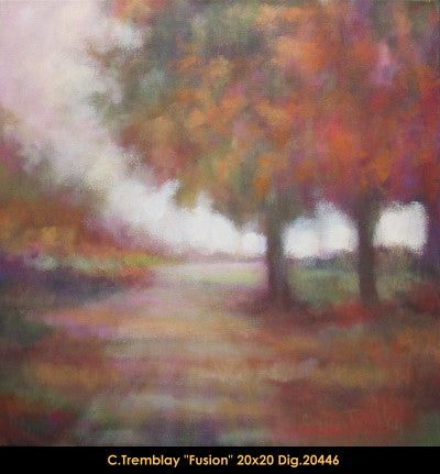 20446 - Claude Tremblay - Fusion - 20x20