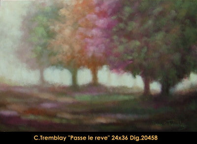 20458 - Claude Tremblay - passe le rêve - 24x36