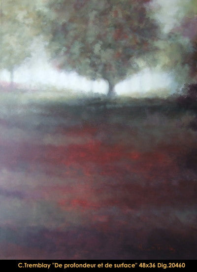 20460 - Claude Tremblay - De profondeur et de surface - 48x36