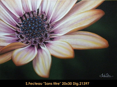 21397 - Sans titre - Fleur (hyper réaliste) - 20x30