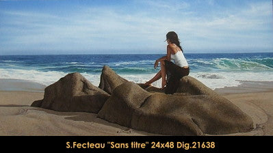 21638 - Sans titre - SARAH FECTEAU - 24x48