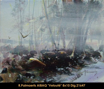 21647 - Roland Palmaerts - Velouté - 8x10