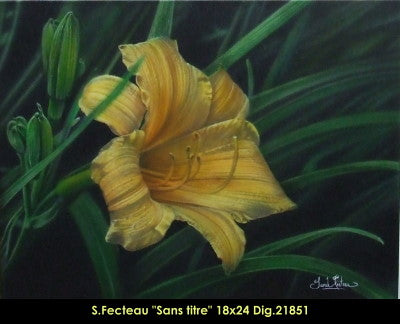 21851 - Sarah Fecteau - Sans titre (Hyper réaliste) - 18x24