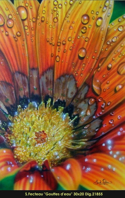 21855 - Sarah Fecteau - Goutte d'eau (hyper réaliste) - 30x20