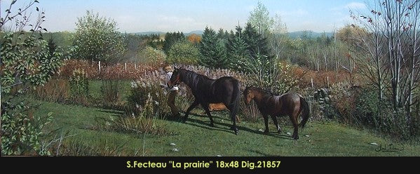 21857 - La prairie - SARAH FECTEAU - 18x48
