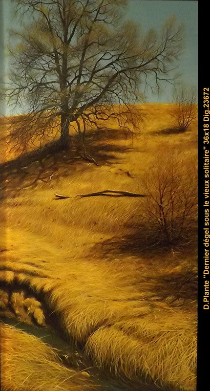 23672 - Daniel Plante - Dernier dégel sous le vieux solitaire - 36x18