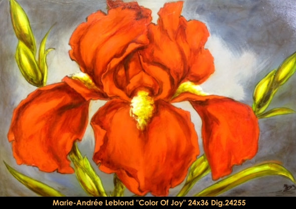 24255 - Marie-Andree Leblond - Color of Joy - 24x36