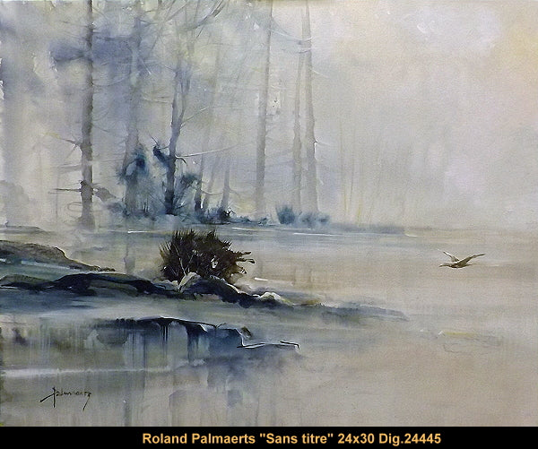 24445 - Roland Palmaerts - Sans titre - 24x30