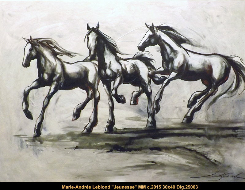 25003 - Marie-Andree Leblond - Jeunesse - 30x40