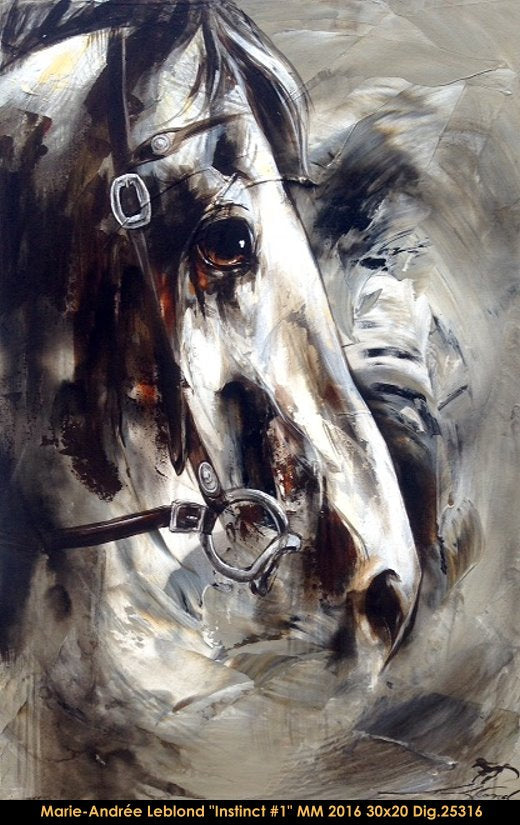25316 - Marie-Andree Leblond - Instinct #1 - 30x20