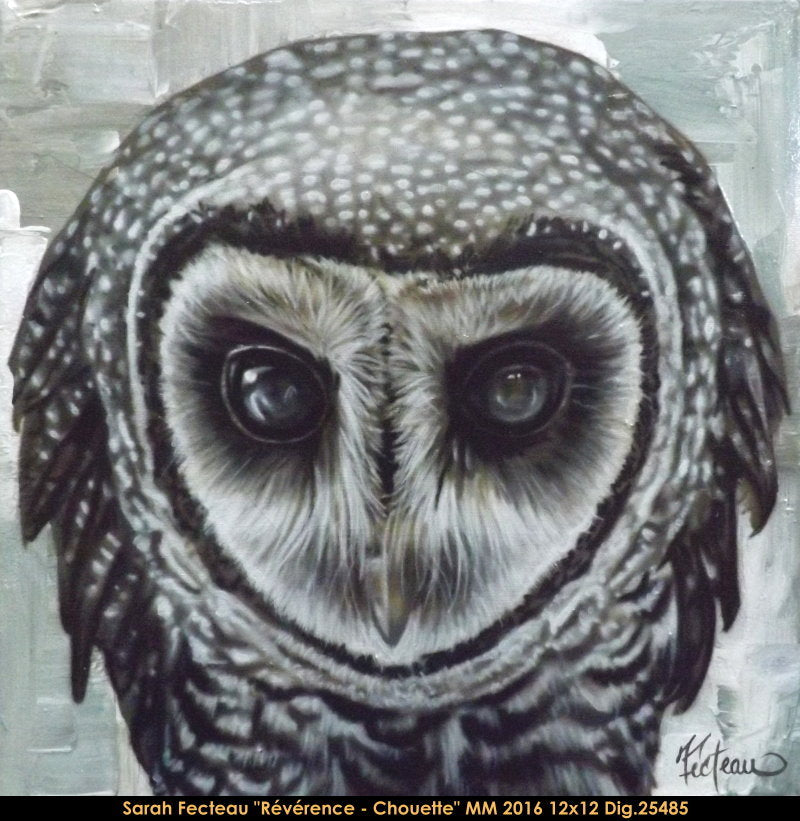 25485 - Sarah Fecteau - Réverance - Chouette effraie (sépia) - 12x12