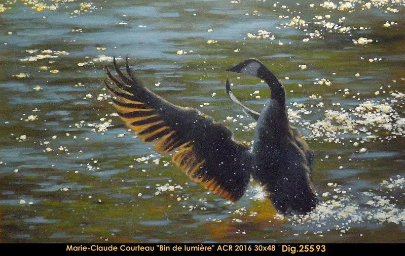 25593 - Marie-Claude Courteau - Bain de lumière - 30x48  ***CCM***