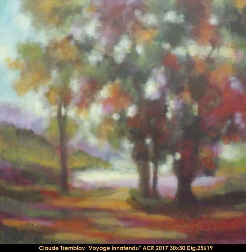 25619 - Claude Tremblay - Voyage inattendu - 30x30