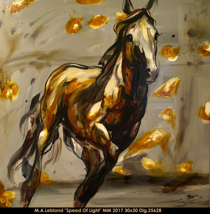 25628 - Marie-Andree Leblond - Speed of Light - 30x30