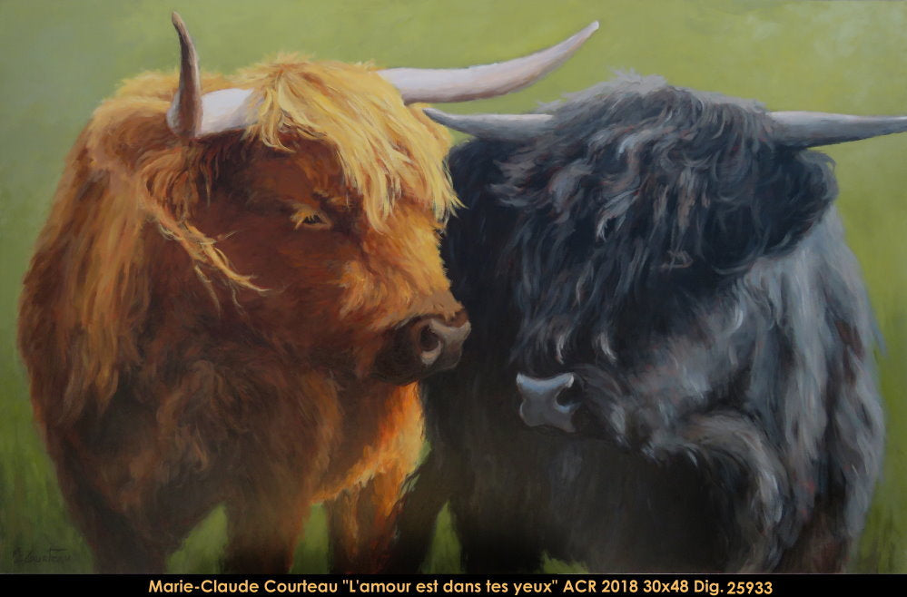 25933 - Marie-Claude Courteau - L'amour est dans tes yeux -30x48