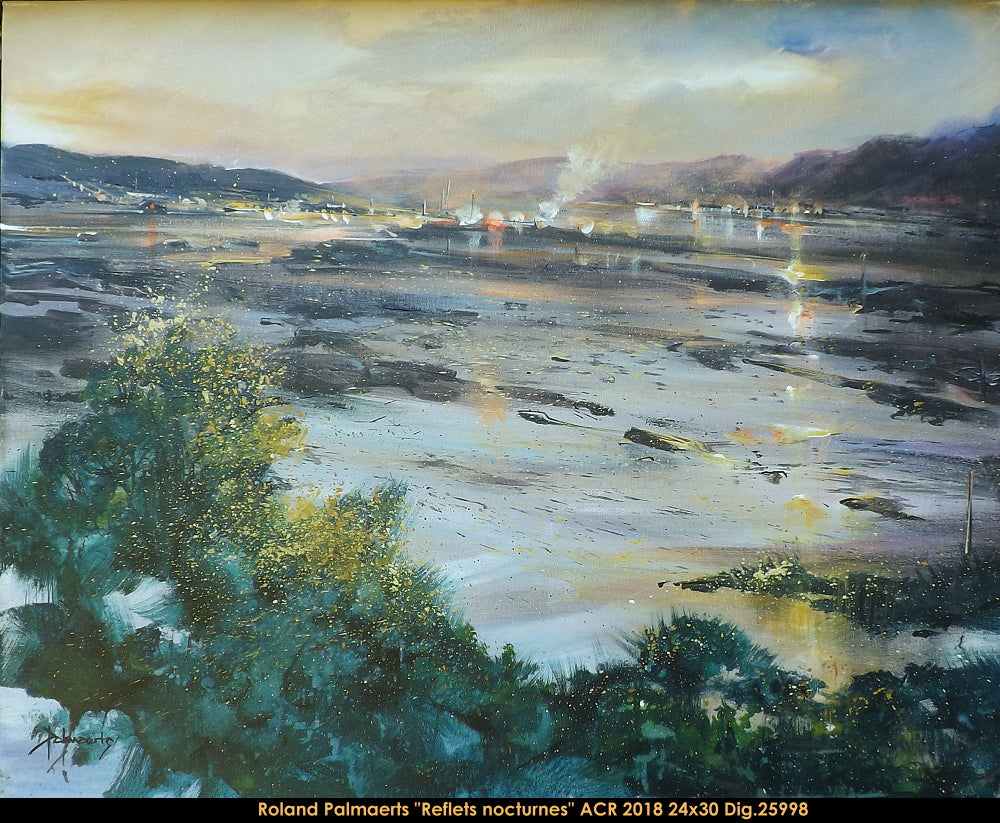 25998 - Roland Palmaerts - Reflets nocturnes - 24x30
