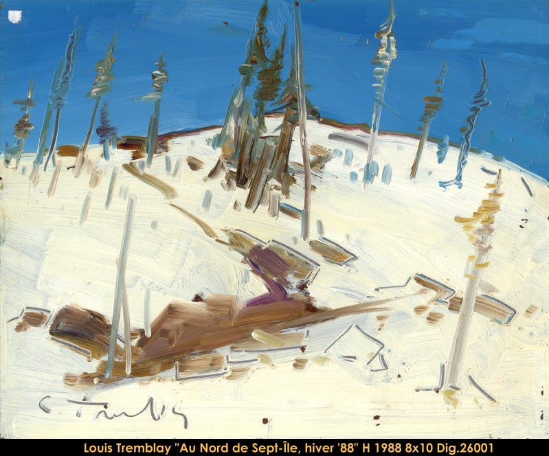 26001 - Louis Tremblay - Au nord de Sept-Iles - 8x10