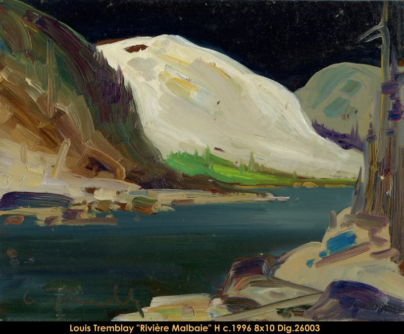 26003 - Louis Tremblay - Rivière Malbaie - 8x10