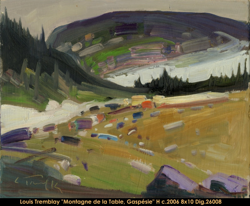 26008 - Louis Tremblay - Montagne de la table, Gaspésie - 8x10