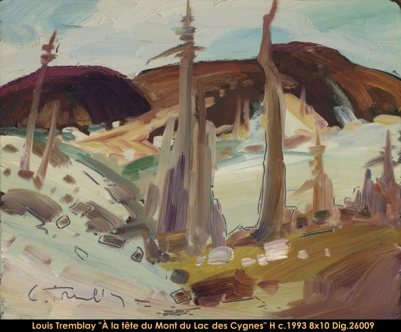 26009 - Louis Tremblay - À la tête du Mt. du Lac des Cygnes - 8x10