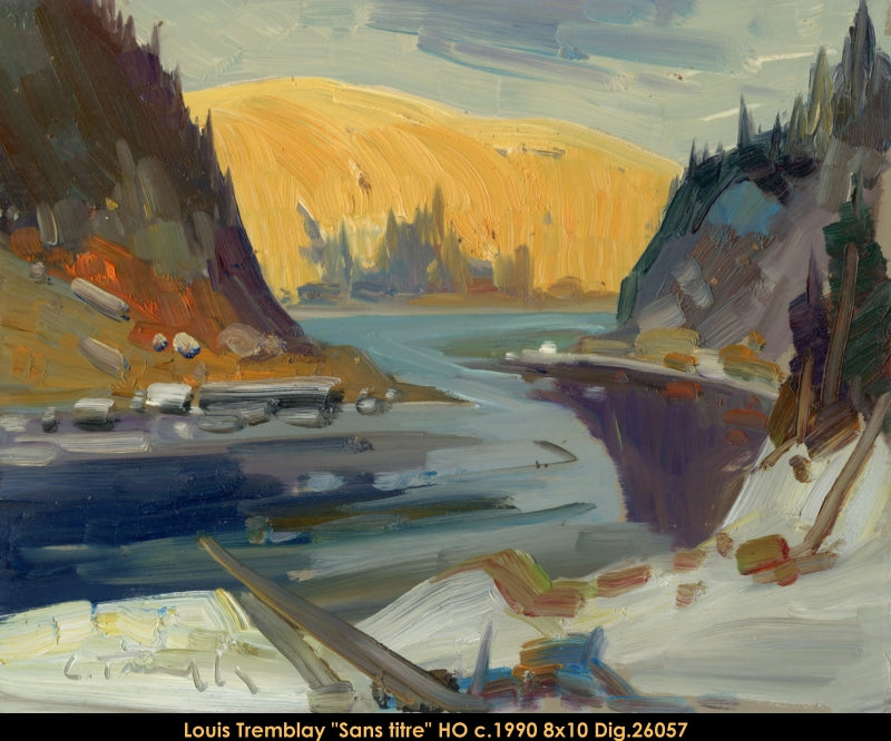 26057 - Louis Tremblay - Sans titre - 8x10