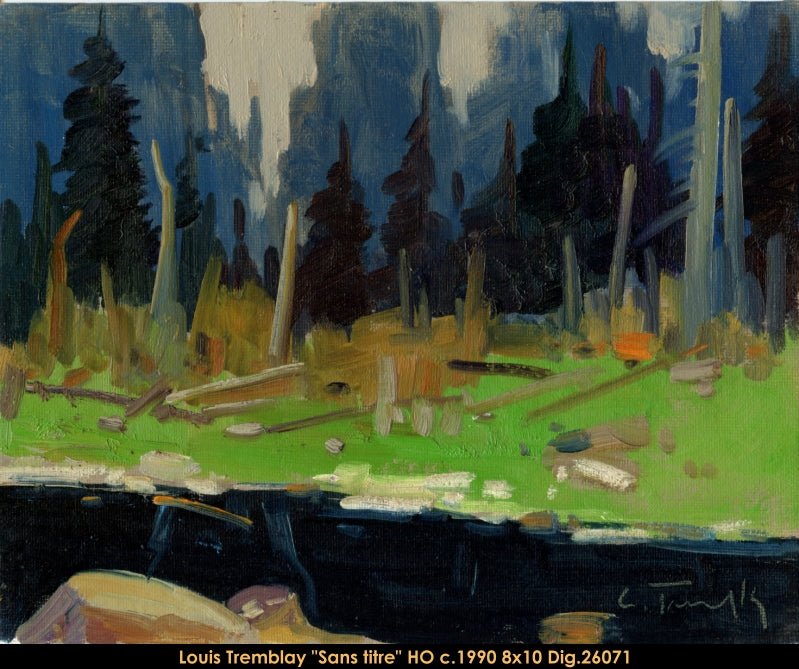 26071 - Louis Tremblay - Sans titre - 8x10