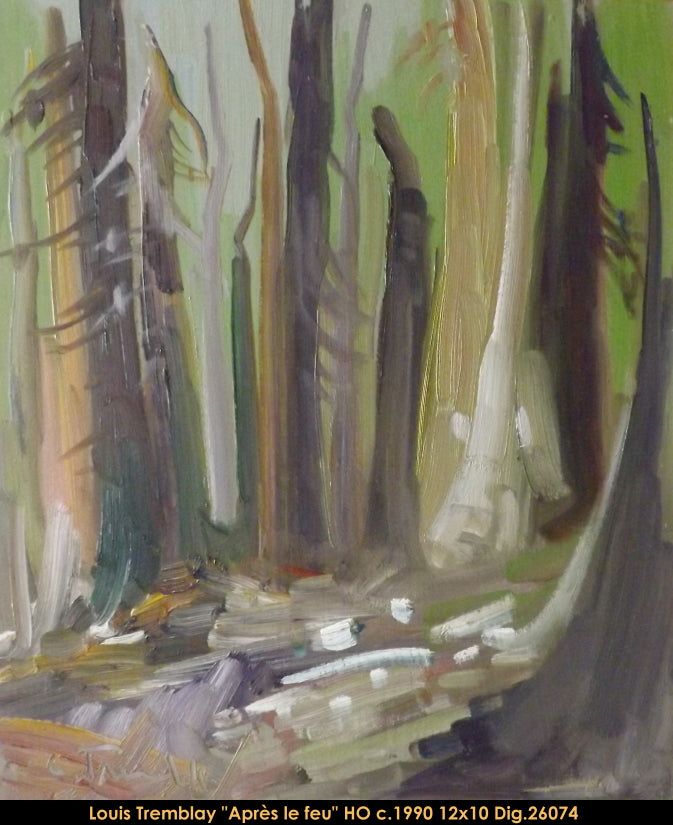 26074 - Louis Tremblay - Après le feu - 12x10