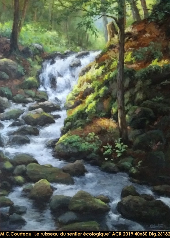 26182 - Le ruisseau du sentier - 40x30