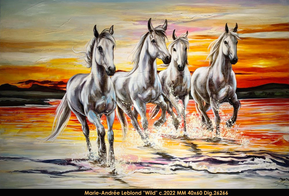 26266 - Wild - 40 x 60