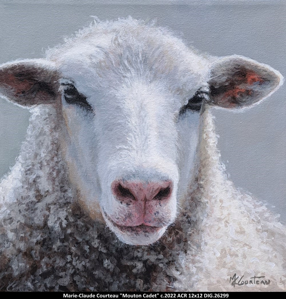 26299 - Mouton cadet - m.c.courteau - 12X12