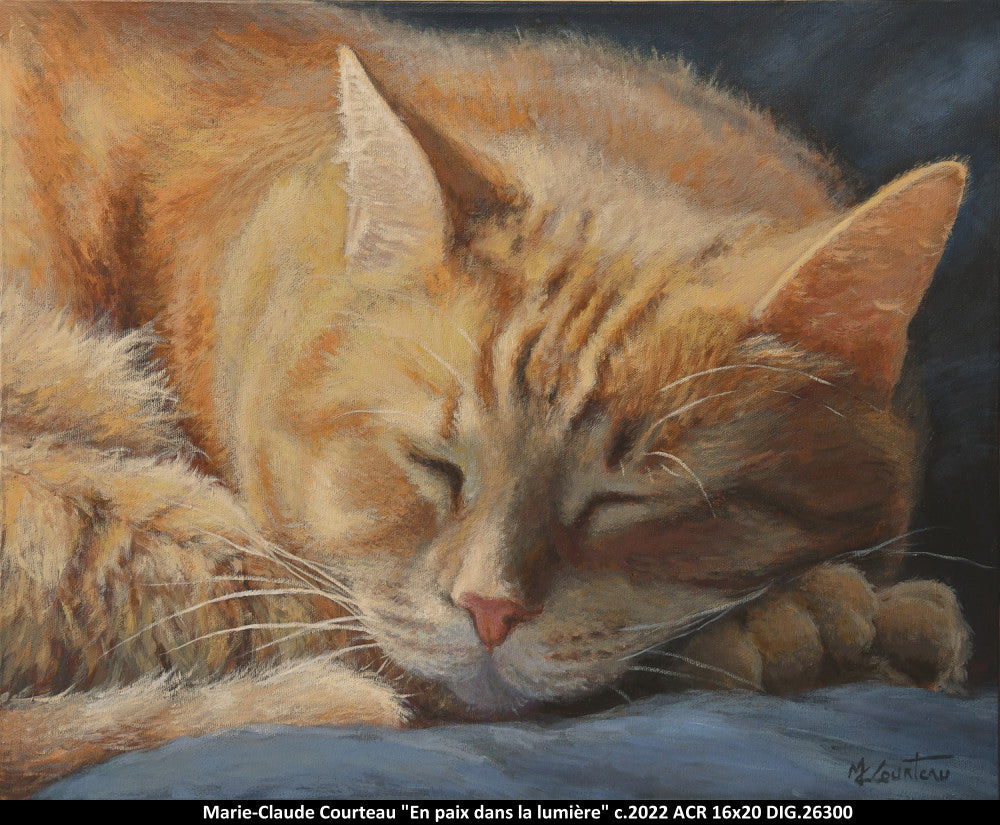 26300 - En paix dans la lumière - m.c.courteau - 16X20