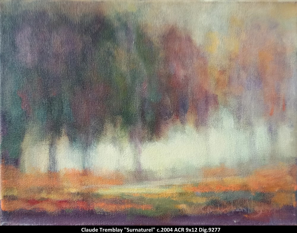 9277 - Claude Tremblay - Surnaturel - 9x12