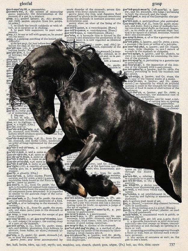 AW00025- ArtnWordz - Horse Arabian